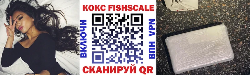 купить наркотик  Курган  ОМГ ОМГ маркетплейс  Cocaine FishScale 