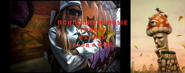 а пвп мука Медвежьегорск